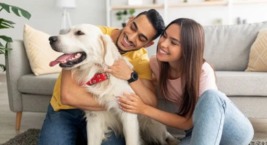 Aplicativos Para Quem Tem Pet em Casa